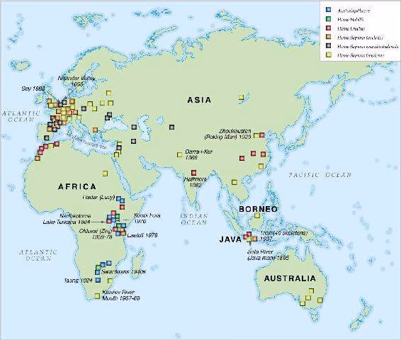 Early Hominid Remains Map
