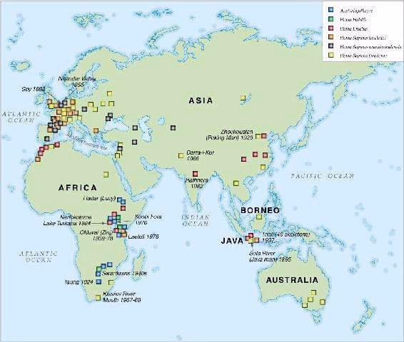 Hominid Remains Distribution Map