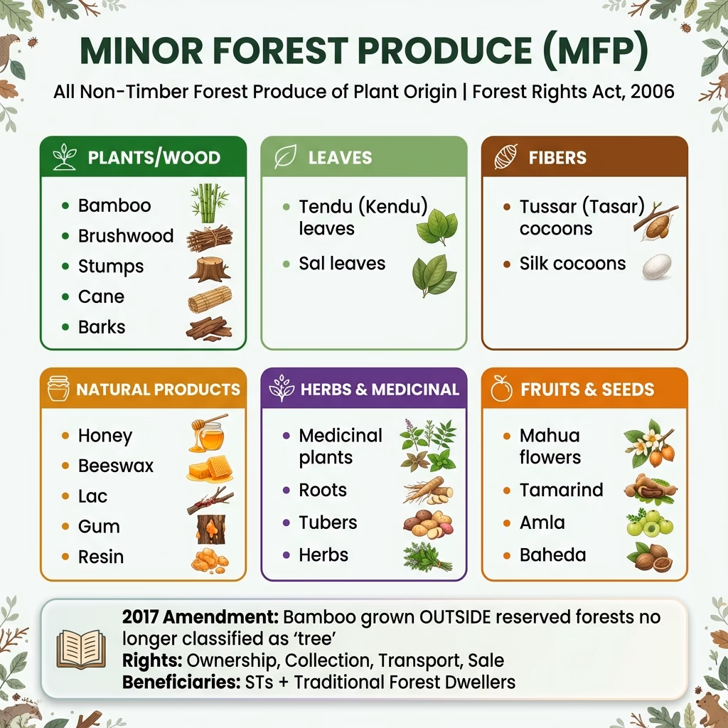 लघु वन उपज (MFP) पूरी सूची
